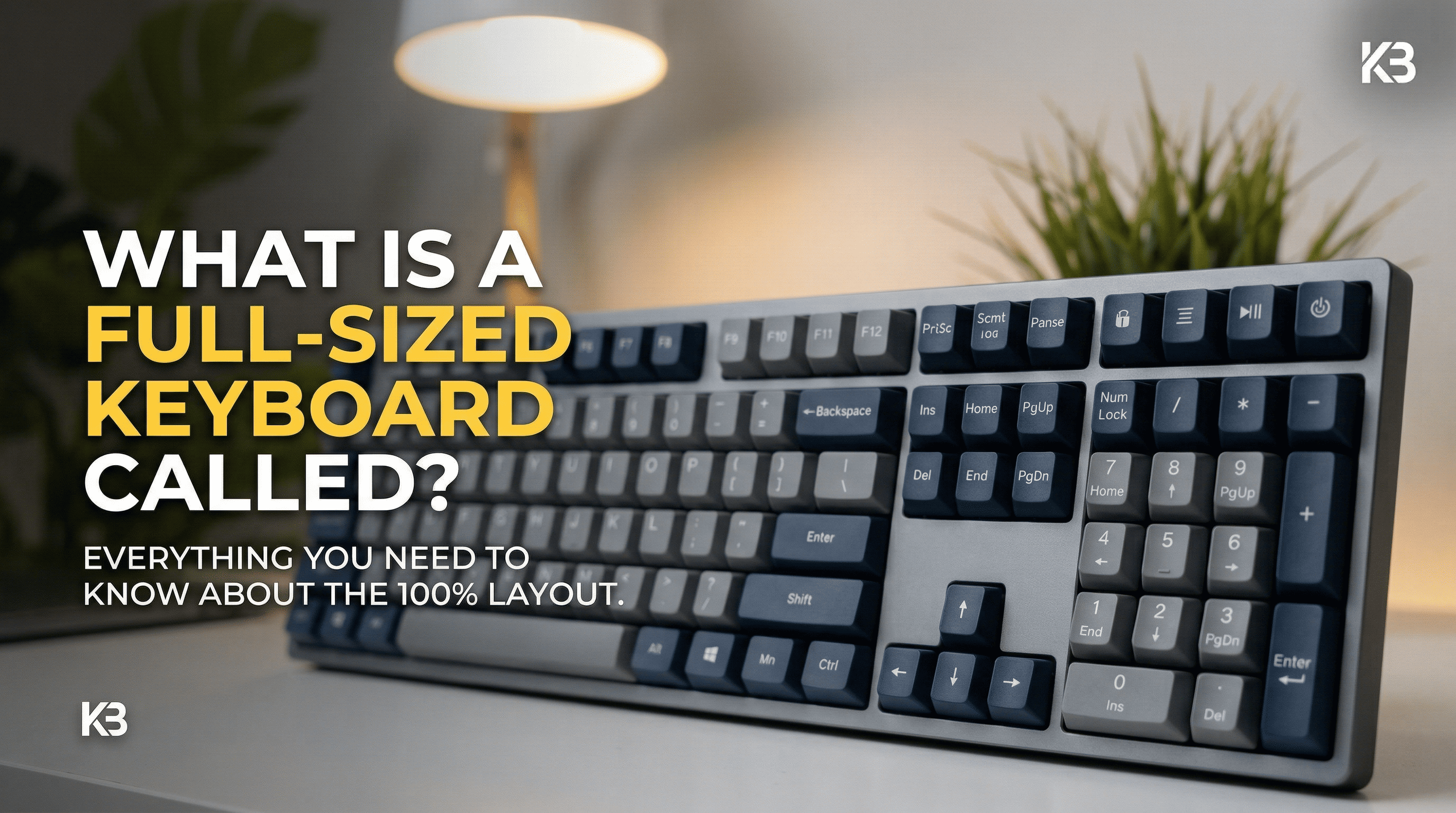 What Is a Full-Sized Keyboard Called? (More Than Just "The Big One")
