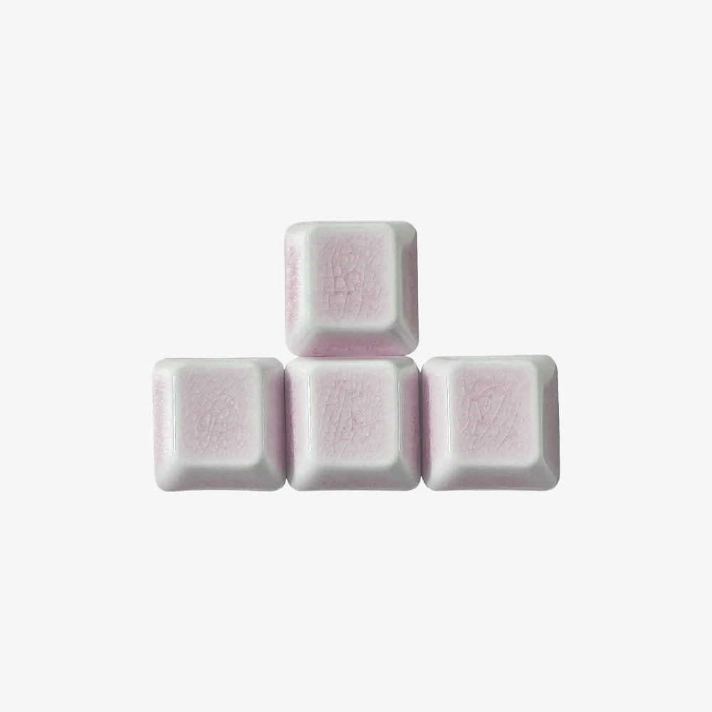 F SET-RX1U (4 phím)