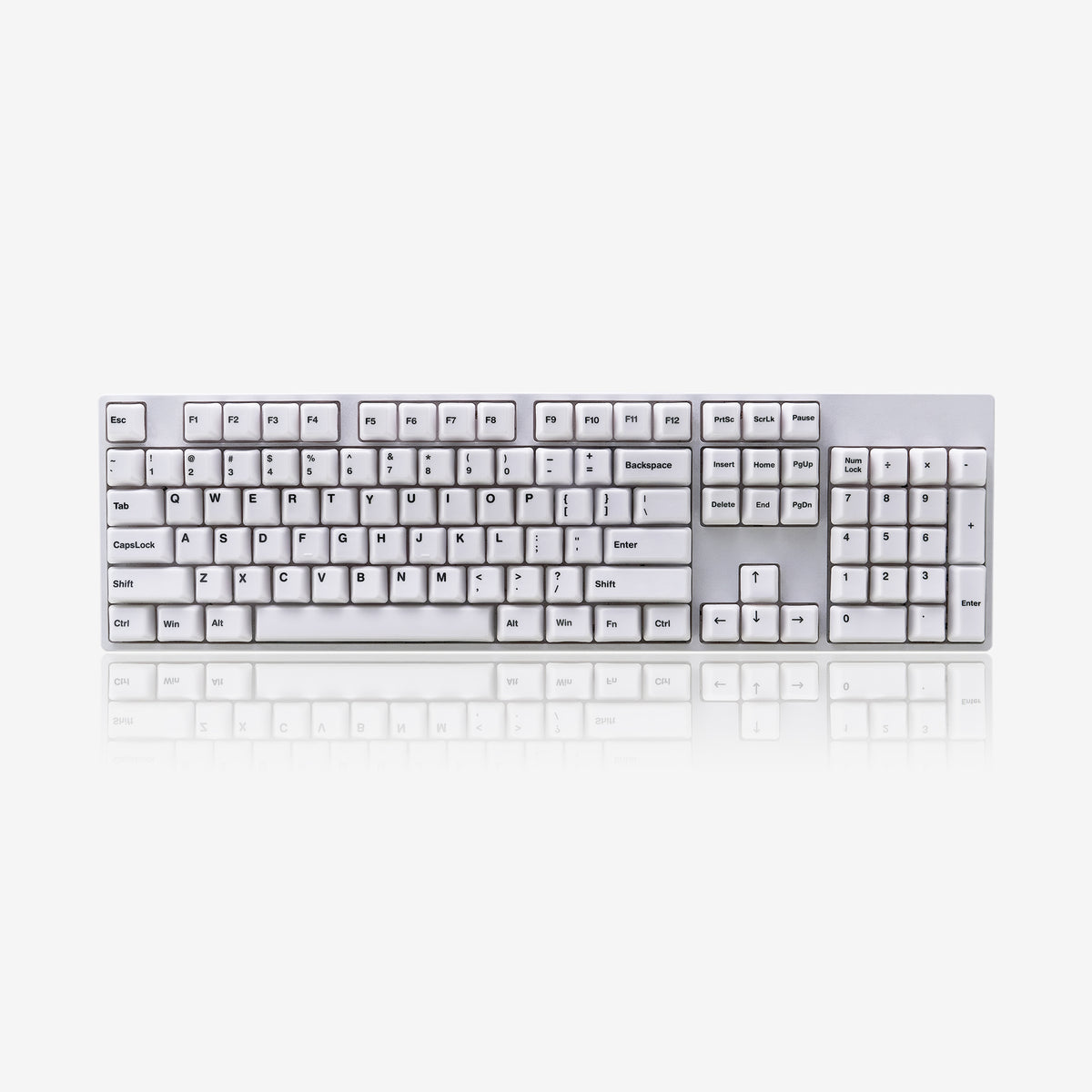 mattewhite.jpg?v=1740471968& 